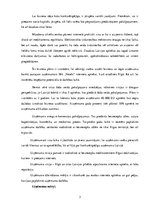 Biznesa plāns 'Biznesa plāns interneta aptiekai "Vesels"', 3.