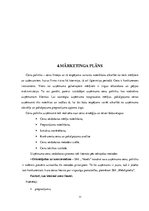 Biznesa plāns 'Biznesa plāns interneta aptiekai "Vesels"', 11.