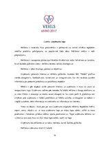 Biznesa plāns 'Biznesa plāns interneta aptiekai "Vesels"', 15.