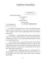 Biznesa plāns 'Biznesa plāns interneta aptiekai "Vesels"', 17.