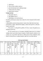 Biznesa plāns 'Biznesa plāns interneta aptiekai "Vesels"', 21.