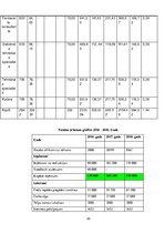 Biznesa plāns 'Biznesa plāns interneta aptiekai "Vesels"', 22.