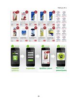 Biznesa plāns 'Biznesa plāns interneta aptiekai "Vesels"', 29.