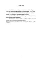 Referāts 'Pūšamie siltumizolācijas materiāli', 2.