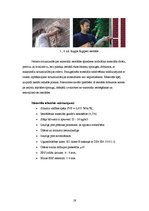 Referāts 'Pūšamie siltumizolācijas materiāli', 19.