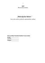 Referāts 'Motivējošie faktori', 1.