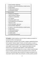 Referāts 'Bilance finanšu grāmatvedībā, tās nepieciešamība un nozīme', 19.