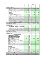 Referāts 'Bilance finanšu grāmatvedībā, tās nepieciešamība un nozīme', 28.