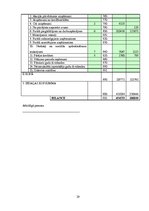 Referāts 'Bilance finanšu grāmatvedībā, tās nepieciešamība un nozīme', 29.