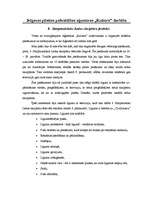 Prakses atskaite 'Prakse aģentūrā "Kultūra"', 8.