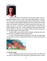 Referāts 'Netradicionālās reliģiskās kustības, sektas un kulti', 10.