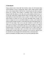 Referāts 'Netradicionālās reliģiskās kustības, sektas un kulti', 18.