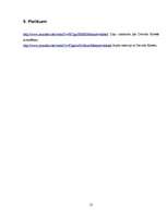 Referāts 'Netradicionālās reliģiskās kustības, sektas un kulti', 21.