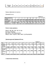 Biznesa plāns 'SIA "Dog Fashion"', 12.