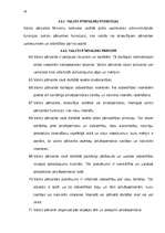 Referāts 'Ministru kabineta funkcijas', 18.