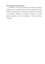 Referāts 'Ministru kabineta funkcijas', 23.