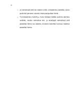 Referāts 'Ministru kabineta funkcijas', 25.