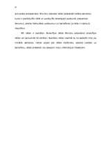 Referāts 'Ministru kabineta funkcijas', 35.