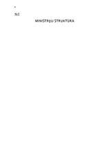 Referāts 'Ministru kabineta funkcijas', 48.