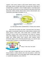 Referāts 'Pedagoģijas teoriju kritisks izvērtējums', 6.