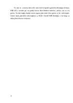 Referāts 'Perifērijas ierīces. Monitori', 17.