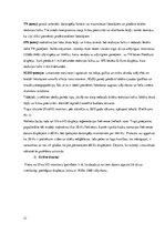 Referāts 'Perifērijas ierīces. Monitori', 21.