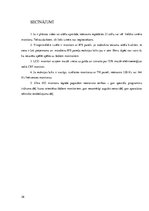 Referāts 'Perifērijas ierīces. Monitori', 26.