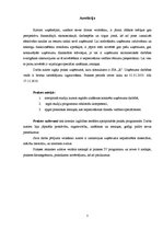 Prakses atskaite 'Prakse uzņēmumā', 3.