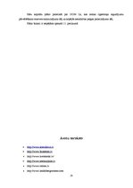 Prakses atskaite 'Prakse uzņēmumā', 29.