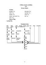 Referāts 'Kursa darbs “Uztura gatavošanas tehnoloģijā”', 12.