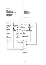 Referāts 'Kursa darbs “Uztura gatavošanas tehnoloģijā”', 13.