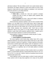 Referāts 'AS "Hansabanka" pakalpojumu klāsta analīze', 6.