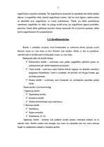 Referāts 'AS "Hansabanka" pakalpojumu klāsta analīze', 7.