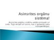 Prezentācija 'Asinsrites orgānu sistēma', 2.