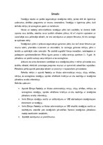 Referāts 'Dānijas Nodokļu un Muitas administrāciju stratēģiju novērtējums', 4.