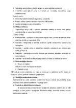 Referāts 'Dānijas Nodokļu un Muitas administrāciju stratēģiju novērtējums', 10.