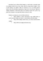 Referāts 'Dānijas Nodokļu un Muitas administrāciju stratēģiju novērtējums', 15.