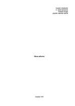 Eseja 'Mana nākotne', 9.