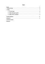 Eseja 'Mana nākotne', 10.