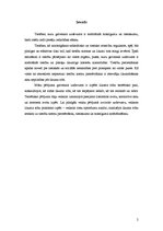 Referāts 'Juridiskās metodes. Likuma robi un to atrisināšana', 2.