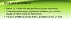 Prezentācija 'Ikdienas dzīve Senajā Romā', 11.