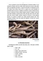 Referāts 'Biodegviela un tās attīstība Latvijā', 5.