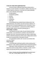 Konspekts 'Masu mediju politika', 1.