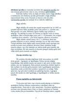 Referāts 'Putni', 5.