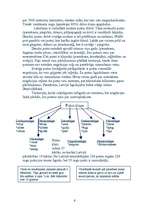 Referāts 'Putni', 6.