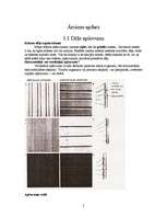 Referāts 'Sienu apdare', 5.