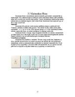 Referāts 'Sienu apdare', 17.