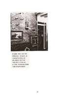 Referāts 'Sienu apdare', 22.