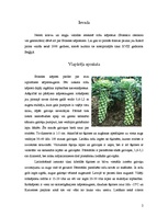 Referāts 'Rožkāposti', 2.