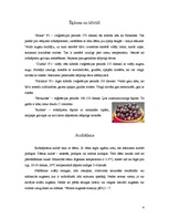 Referāts 'Rožkāposti', 4.